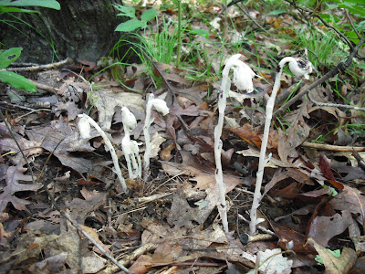 Help Image 1