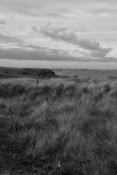 DSC_01232007-06-10_16-38-32-2.JPG
