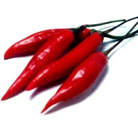 [20050129-pimenta_dedo_edit[11].jpg]