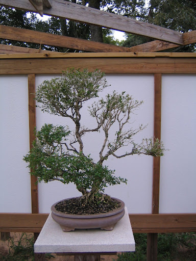 This one needs some TLC, but check the garden walls