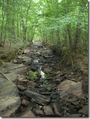 Sweetwater creek aug 2008 005