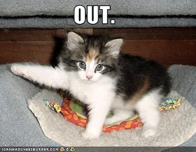 Kitten Kicks You Out Fosta Romanie, Viitorul Haos kitten-kicks-you-out Fosta Romanie, viitorul haos