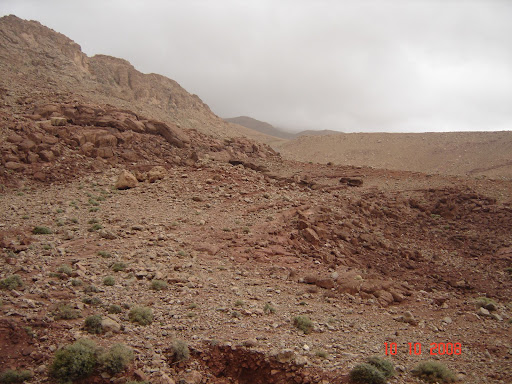 DSC05295.JPG