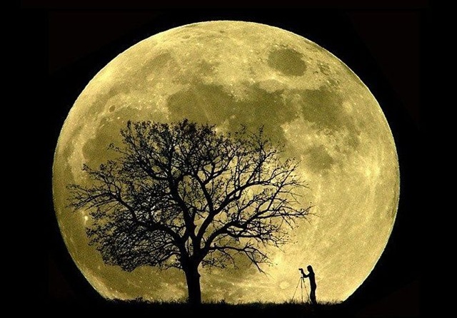 [Luz de luna[3].jpg]