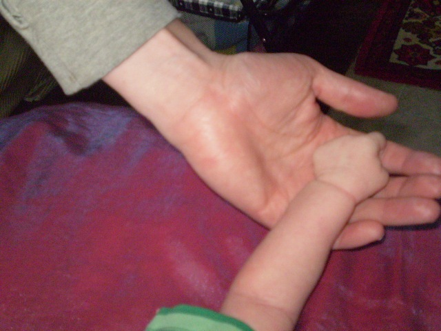 [little hands 3[2].jpg]