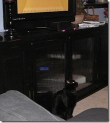 Oliver watching bowling