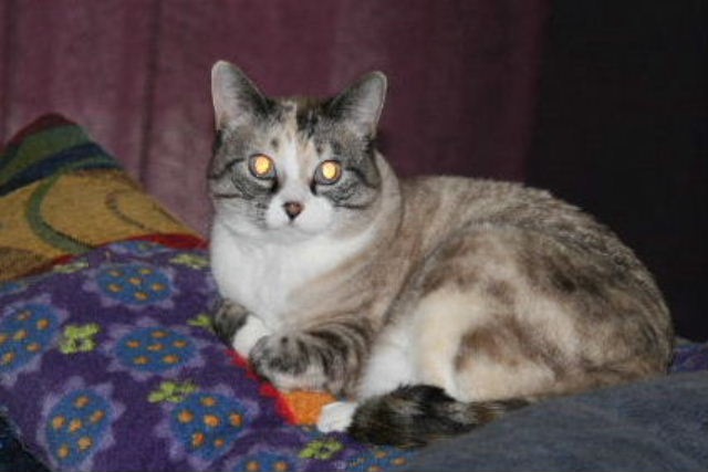 [Princess Annie[2].jpg]