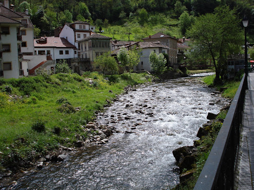 DSC00249.JPG