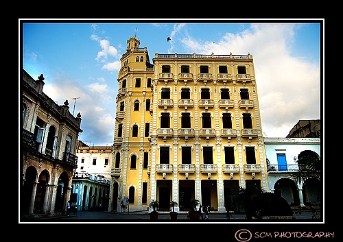 [DSC_0196contrast[3].jpg]