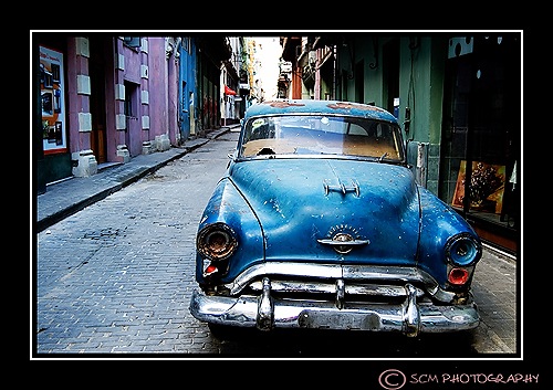 [DSC_0186contrast[3].jpg]