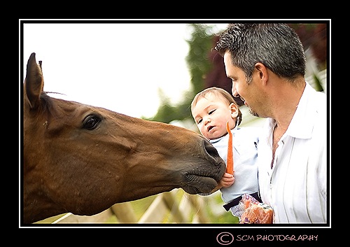 [DSC_0103boost[3].jpg]