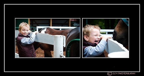 [Untitled-1horse laugh[7].jpg]