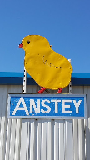 Anstey Chick