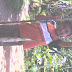 img197.jpg