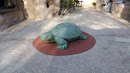 Stone Tortoise