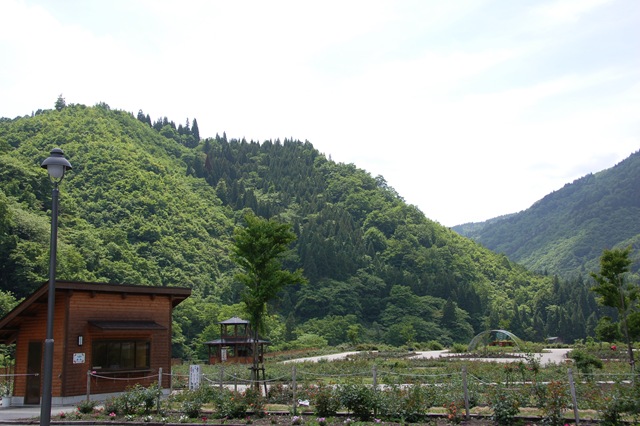 [DSC_8997[2].jpg]