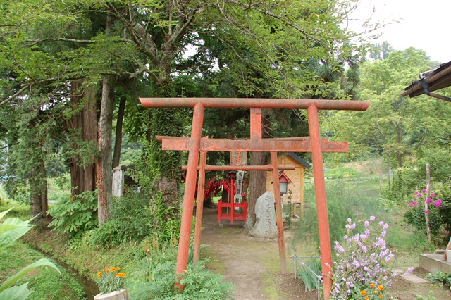 [DSC_96762.jpg]