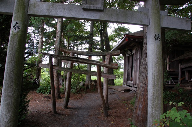 [DSC_98392.jpg]