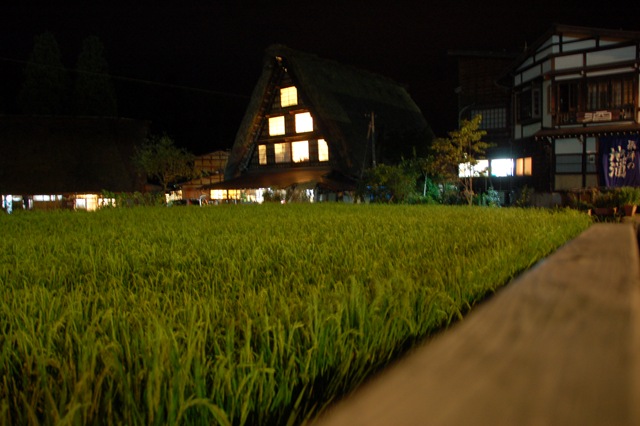 [DSC_0657[5].jpg]