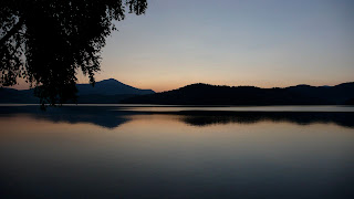P1010085.jpg