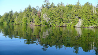 P1010148.jpg