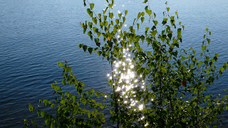 P1010164.jpg