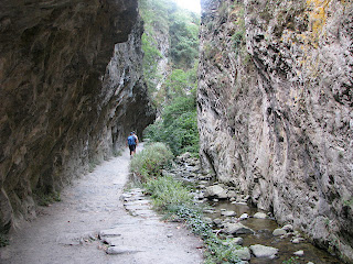 IMG_1778.JPG