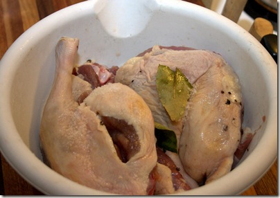 Duck_Confit011
