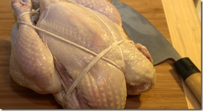 Shibari_Chicken005