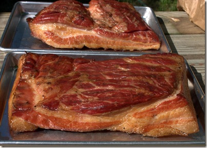 Fresh Bacon017