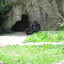 Mother and new addition to the Cincinnati Zoo.
