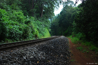 dudhsagar railway track
