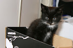 IMG_3083_crop.JPG