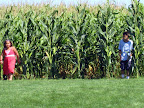 DubuqueVaca08 074.JPG
