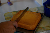 DSC_0098.JPG
