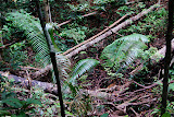 DSC_0115.JPG