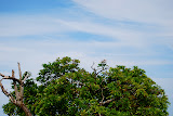DSC_0143.JPG
