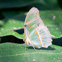 Malachite