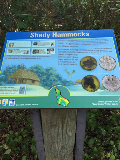 Shady Hammocks