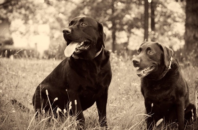 [familypic003[2].jpg]