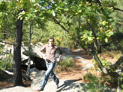 forêt de fontainebleau claudinette