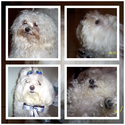 [caue e lucca[4].jpg]