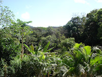 DSC05051.jpg