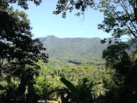 DSC05075.jpg