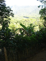 DSC05076.jpg