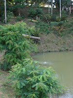 DSC05087.jpg