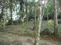 DSC05108.jpg