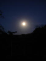 DSC05121.jpg
