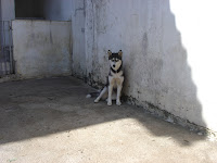 dsc06244.jpg
