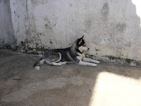 dsc06257.jpg